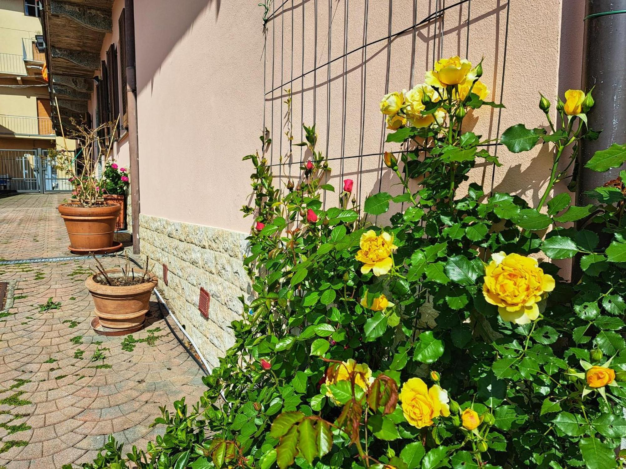 Le Rose Sul Lago Pescate Extérieur photo