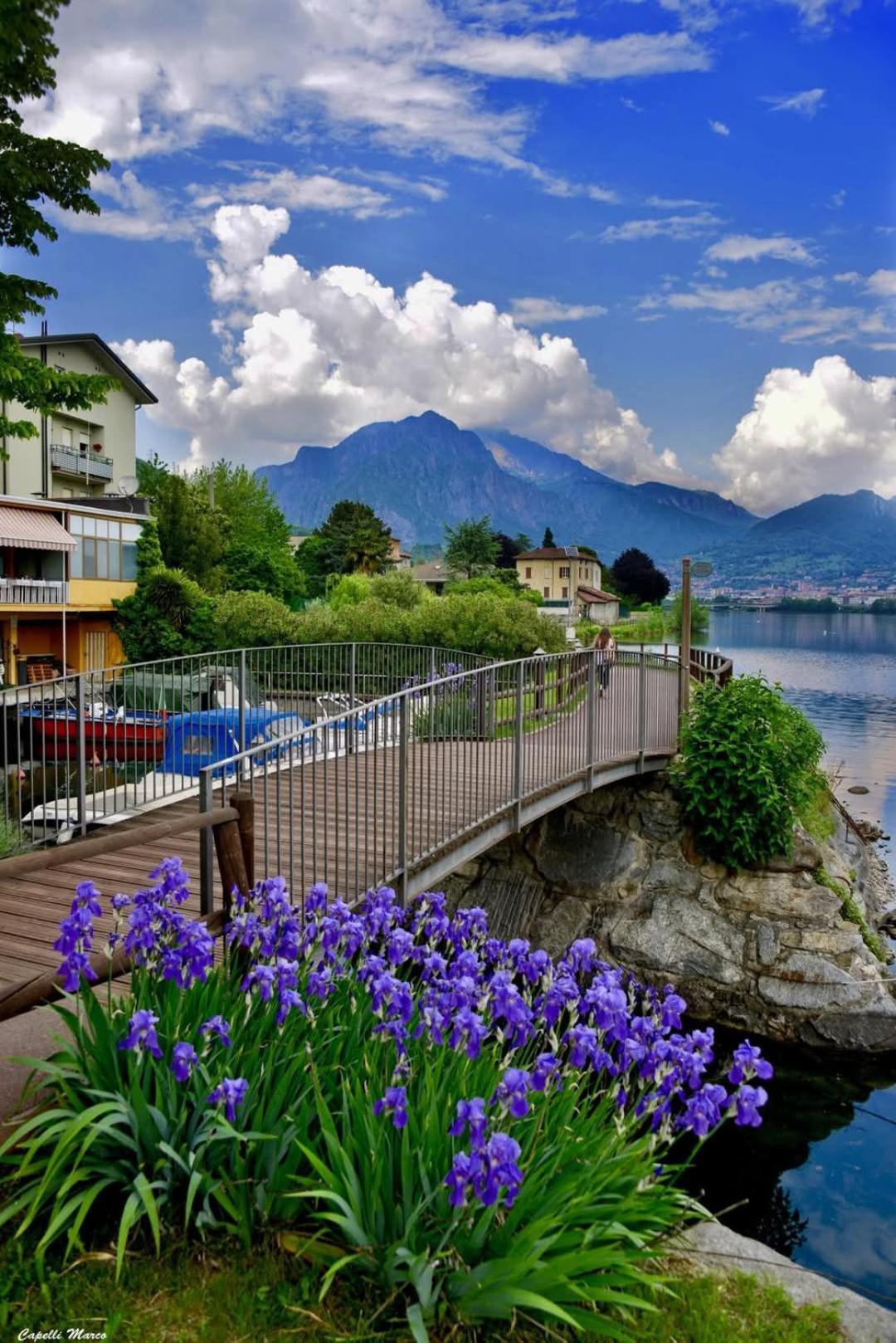 Le Rose Sul Lago Pescate Extérieur photo